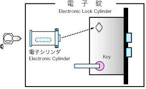 Electronic Lock Cylinder